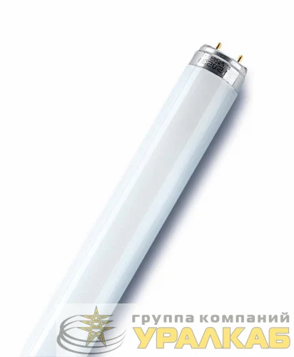 Лампа люминесцентная L 18W/865 LUMILUX 18Вт T8 6500К G13 смол. OSRAM 