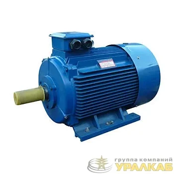 Электродвигатель 5АИ 280 S6 75/1000 IM1001 Элком 