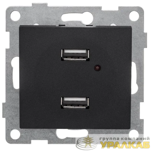 Розетка USB 2-м СП Bravo механизм графит GUSI С10USB2-010 детальная картинка