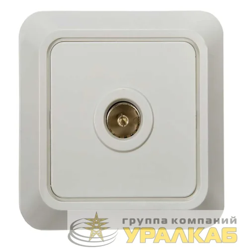 Розетка телевизионная TV ОП Bolleto 7027 16А IP20 бел. ASD / IN HOME 4680005959815 детальная картинка