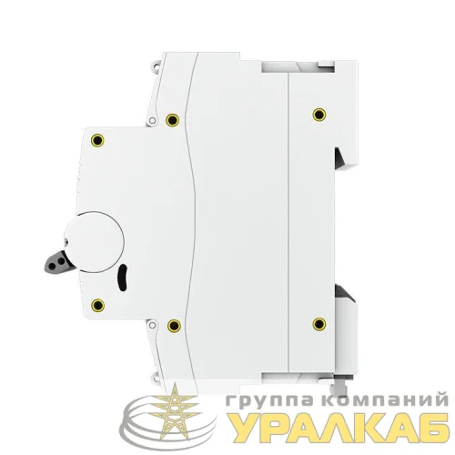 Выключатель автоматический модульный 2п C 20А 10кА ВА 47-100 PROxima EKF mcb47100-2-20C-pro детальная картинка