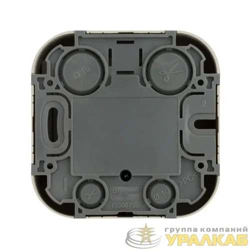 Розетка телевизионная TV 1-м ОП Quteo IP20 с топологией "звезда" сл. кость IEK 