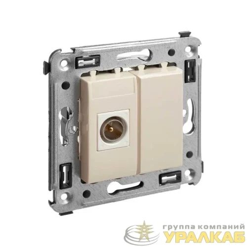 Розетка телевизионная одиночная TV СП Avanti "Ванильная дымка" DKC 