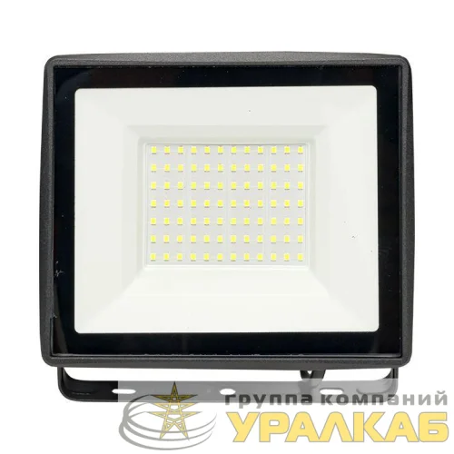 Прожектор светодиодный СДО-3005 75Вт 6500К IP65 Basic EKF FLL-3005-75-6500 детальная картинка