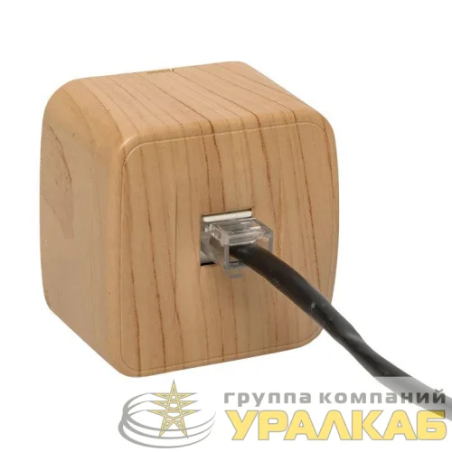 Розетка компьютерная 1-м ОП Минск RJ45 1А 120В свет. дерево EKF EGK01-035-30 детальная картинка