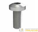 Винт М5х12 под шлиц Torx (уп.100шт) DKC R5M512