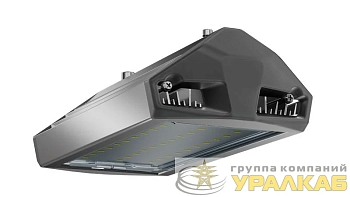 Светильник светодиодный ДКУ 50 750 Д ЕСАУЛ IP66/67 уличный Технологии света УТ000020647