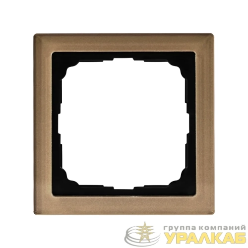 Рамка 1-м ArtGallery Pure органич. стекло шампань SE 