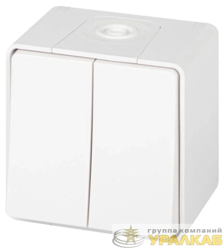 Переключатель Эксперт 11-1506-01 двойн. IP55 10АХ-250В ОУ бел. Эра 