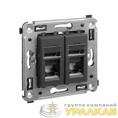 Розетка компьютерная 2-м RJ45 СП кат.6А Avanti "Черный матовый" DKC 4412374 детальная картинка