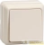 Выключатель 1-кл. ОП Октава 10А IP20 ВС20-1-0-ОКм крем. IEK EVO10-K33-10-DC детальная картинка