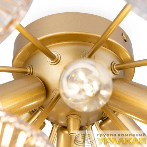 Светильник Brillia 60Вт E14х6 IP20 потолочн. Freya FR5274CL-06G детальная картинка