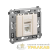Розетка компьютерная 1-м СП RJ-45 кат.5е "Avanti" "Ванильная дымка" DKC 4405463 детальная картинка