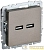 Розетка BRITE USB A+A 3.1А РЮ10-1-БрШ механизм шампань IEK BR-U21-D31-K37