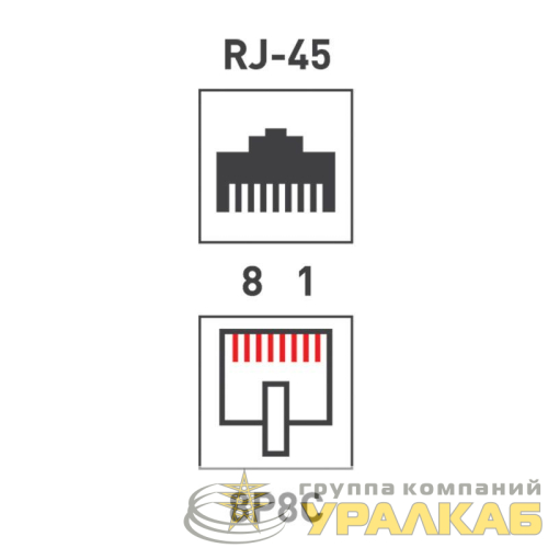 Переходник сетевой LAN гнездо 8Р8С (RJ-45)-гнездо 8Р8С (RJ-45) Rexant 06-0111-A