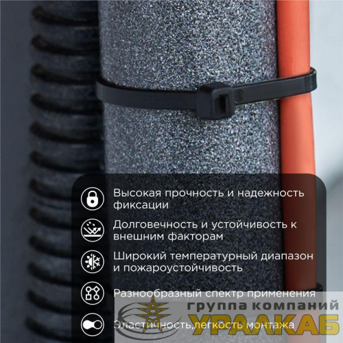 Хомут кабельный 4.8х200 нейл. черн. (уп.100шт) Rexant 