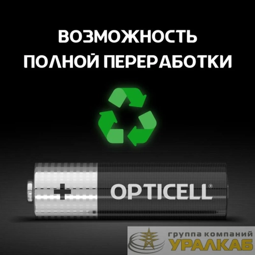 Элемент питания алкалиновый AA/LR6 (блист. 12шт) Basic Opticell /6051010