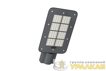 Светильник LE-СКУ-32-100-6499-67Х KEDR 3.0 СКУ LED-effect 6499
