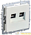 Розетка компьютерная двойн. СП RJ45 кат.5E BRITE РК10-2-БрЖ механизм жемчуж. IEK BR-K20-1-K36