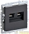 Розетка компьютерная 2-м СП BRITE RJ45 кат.5E РК10-2-БрГ механизм графит IEK BR-K20-1-K53