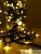 Гирлянда "Нить" DC-LD120-GL-E 120LED шампань 12м IP44 SHLights 4690601042873 детальная картинка