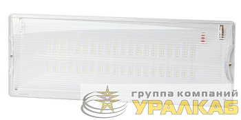 Светильник светодиодный DPA-301-0-65 40LED 3ч IP65 аварийный непостоянный Эра Б0044405