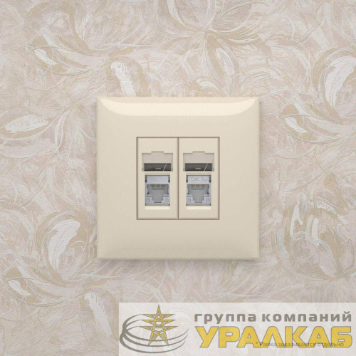 Розетка 2-м RJ-45 СП кат.5e экранированная Avanti "Ванильная дымка" DKC 4405364