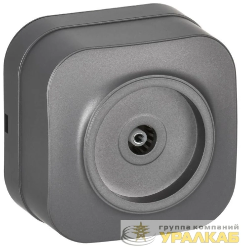 Розетка телевизионная TV 1-м ОП GLORY РТВ20-ХСм сталь матов. IEK 