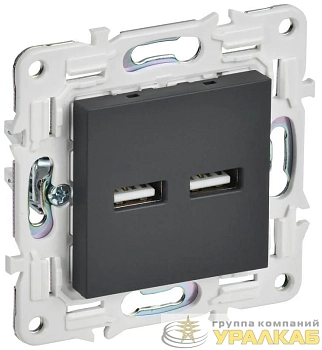 Розетка USB A+A 3.1А SKANDY SK-R15G графит IEK 