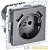Розетка BRITE РЮш10-1-БрС 16А с USB A+A 2.1А с заземл. защ. шторки механизм сталь IEK BR-R14-16-U21-D21-K46