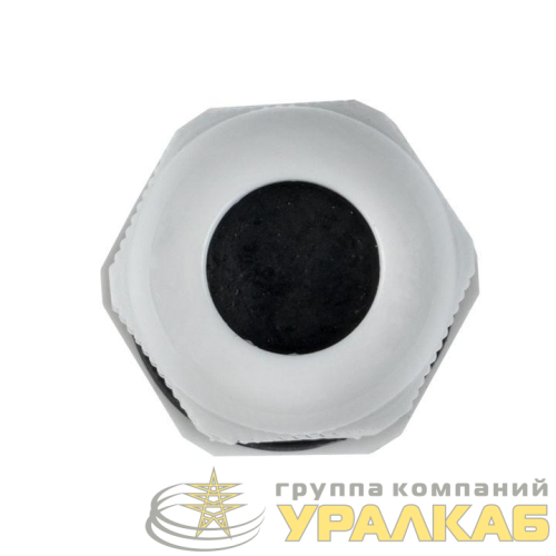 Сальник PG11 IP54 EKF plc-pg-11 детальная картинка