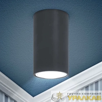 Светильник накладной под GU10 OL15 GU10 DG ЭРА 