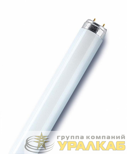 Лампа люминесцентная L 36W/865 LUMILUX 36Вт T8 6500К G13 смол. OSRAM 4008321581433 детальная картинка