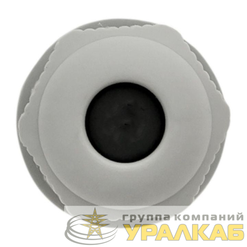 Сальник PG7 IP54 EKF plc-pg-7 детальная картинка