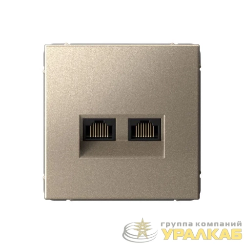 Розетка двойная компьютерная ArtGallery RJ45+RJ45 кат. 6A механизм шампань SE 