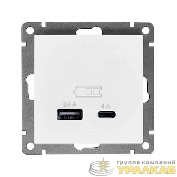 Розетка 2-м USB СП Афина 5В тип А(2.4А)+С(4А) механизм бел. Universal 