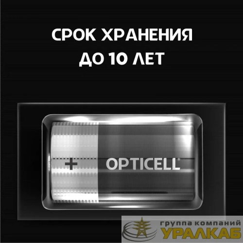 Элемент питания алкалиновый D/LR20 1.5В (блист. 2шт) Basic Opticell 5051005/6051005 детальная картинка