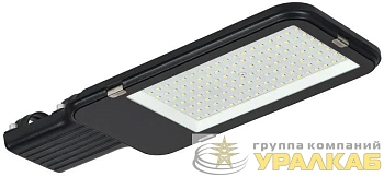 Светильник светодиодный ДКУ 1013-100Д 5000К IP65 уличный консольный IEK LDKU1-1013-100-5000-K03