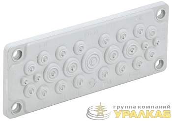 Ввод кабельный мембранный 25 отверстий d5-26мм IP65 сер. TITAN IEK TI-00D-MC-025-65