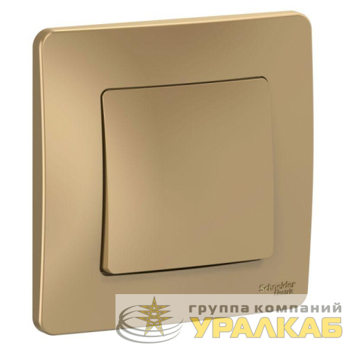 Выключатель 1-кл. СП Blanca 10А IP20 (сх. 1) 250В титан SE 