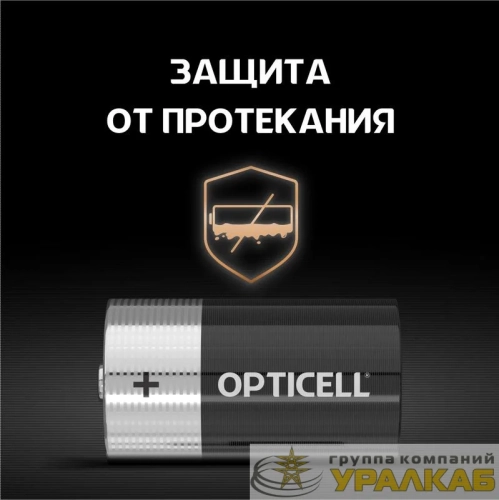 Элемент питания алкалиновый D/LR20 1.5В (блист. 2шт) Basic Opticell 5051005/6051005 детальная картинка
