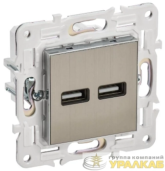 Розетка USB A+A 3.1А SKANDY SK-R15N никель IEK 