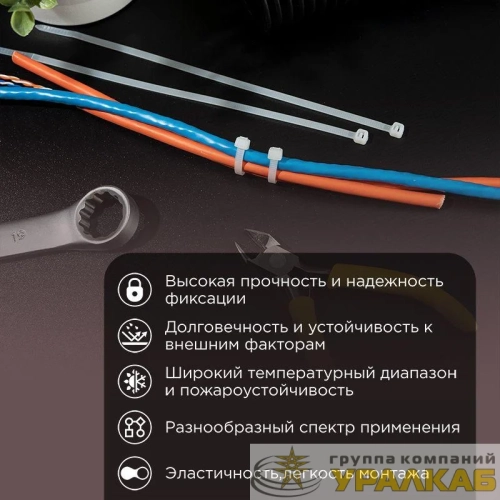 Набор хомутов 100мм; 150мм; 200мм НХ-1 разноцвет. нейл. (200шт) Rexant 