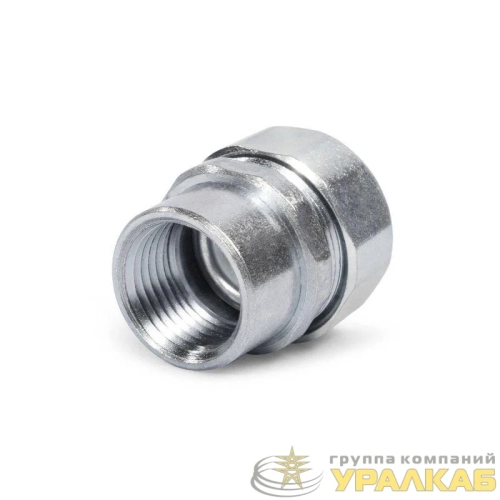 Муфта соединительная СТМ(Р)-25(1дюйм) Fortisflex 61411 детальная картинка