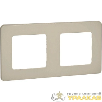 Рамка 2-м Inspiria сл. кость Leg 673941