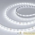 Лента светодиодная RT-A60-8mm 24V White 6000К 2835 4.8Вт/м IP20 открыт. (уп.5м) Arlight 