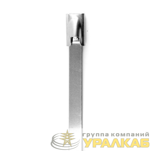 Хомут кабельный 4.6х150 нерж. сталь AISI 304 серебр. (уп.50шт) DKC 27403 детальная картинка