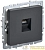 Розетка компьютерная СП RJ45 кат.5E BRITE РК10-БрГ механизм графит IEK BR-K10-1-K53