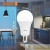 Лампа светодиодная LED Value A 25Вт 6500К холод. бел. E27 2000лм угол пучка 180град. 220-240В матов. пластик (замена 200Вт) OSRAM 4058075696471 детальная картинка