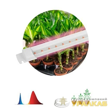 Светильник светодиодный для растений FITO-10W-Т5-RB-Slim 10Вт Т5 линейный красн./син. спектра Эра 